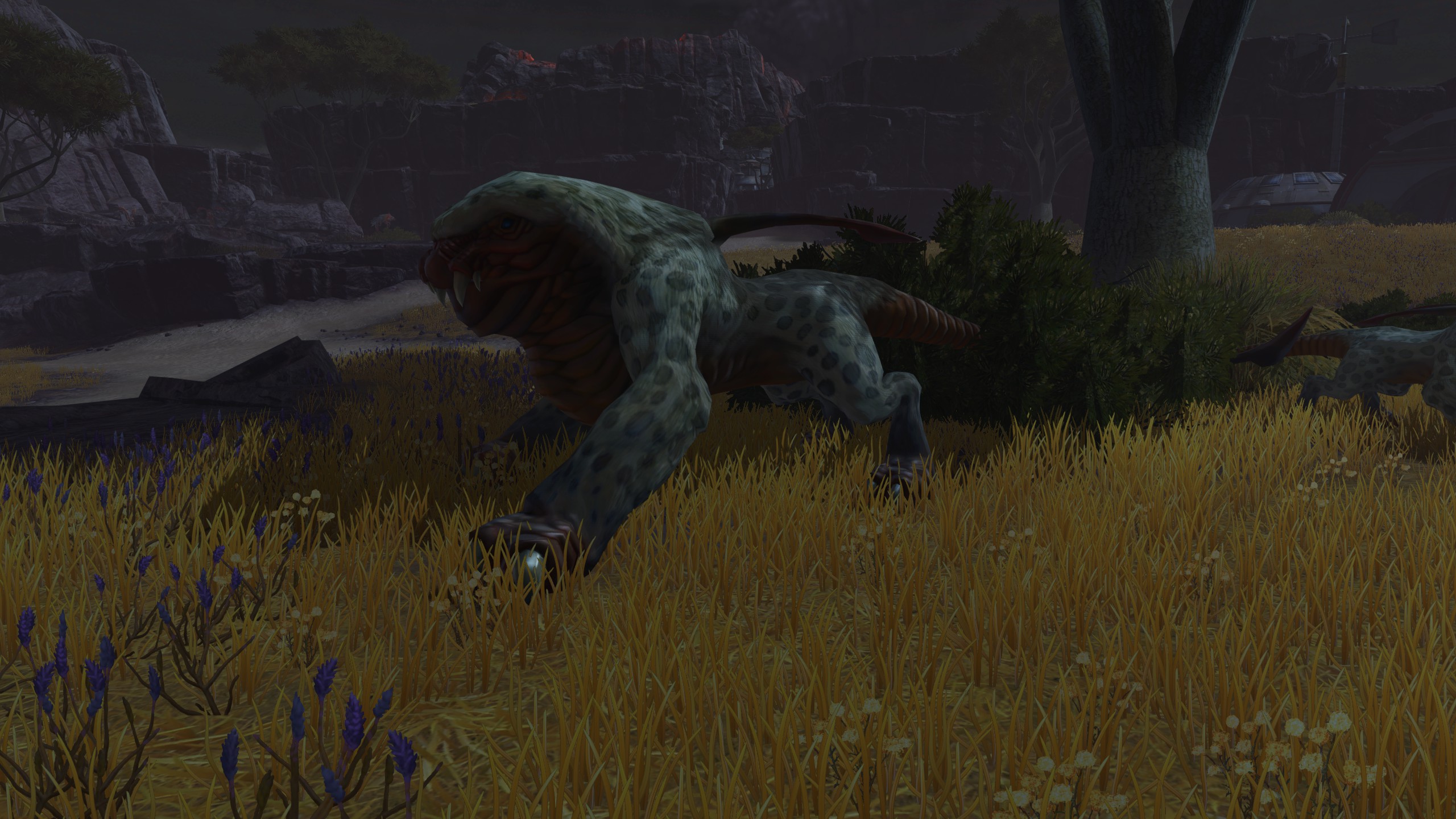 Asharl Panther